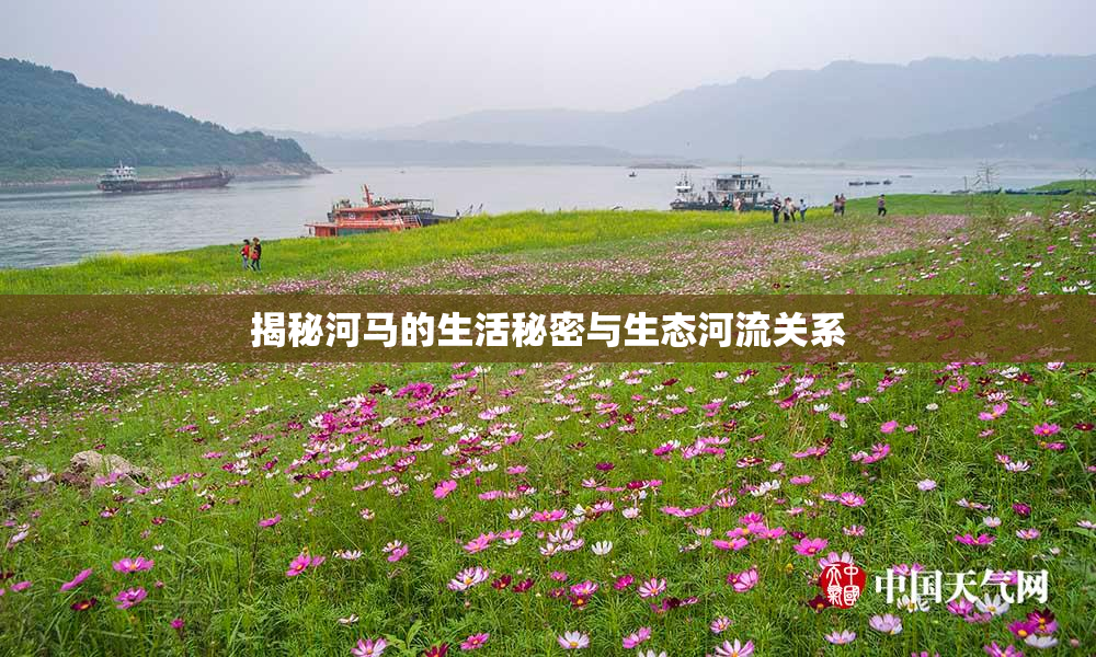 揭秘河马的生活秘密与生态河流关系