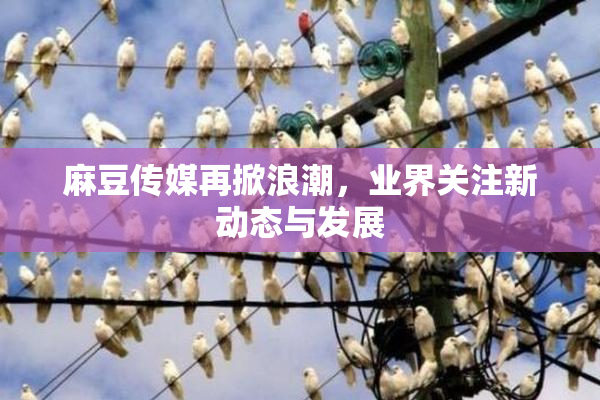 麻豆传媒再掀浪潮，业界关注新动态与发展