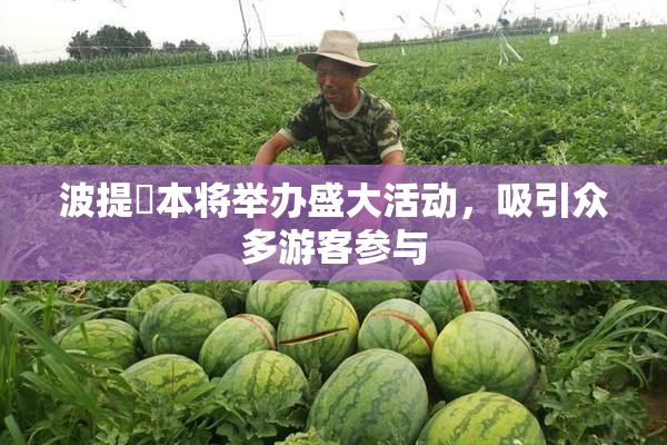 波提歐本将举办盛大活动，吸引众多游客参与