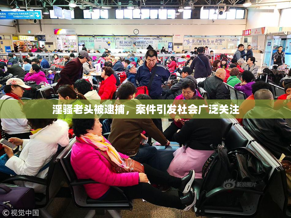 淫骚老头被逮捕，案件引发社会广泛关注