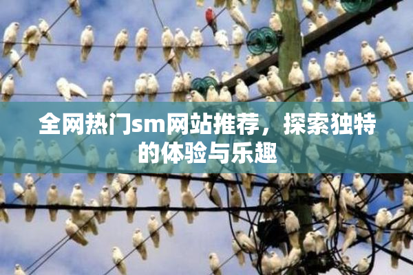 全网热门sm网站推荐，探索独特的体验与乐趣