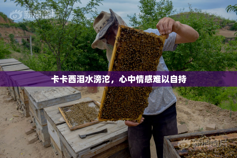 卡卡西泪水滂沱，心中情感难以自持