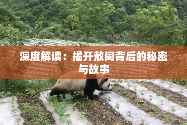 深度解读：揭开敖闰背后的秘密与故事