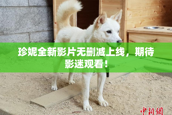 珍妮全新影片无删减上线，期待影迷观看！