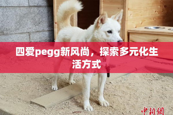 四爱pegg新风尚，探索多元化生活方式