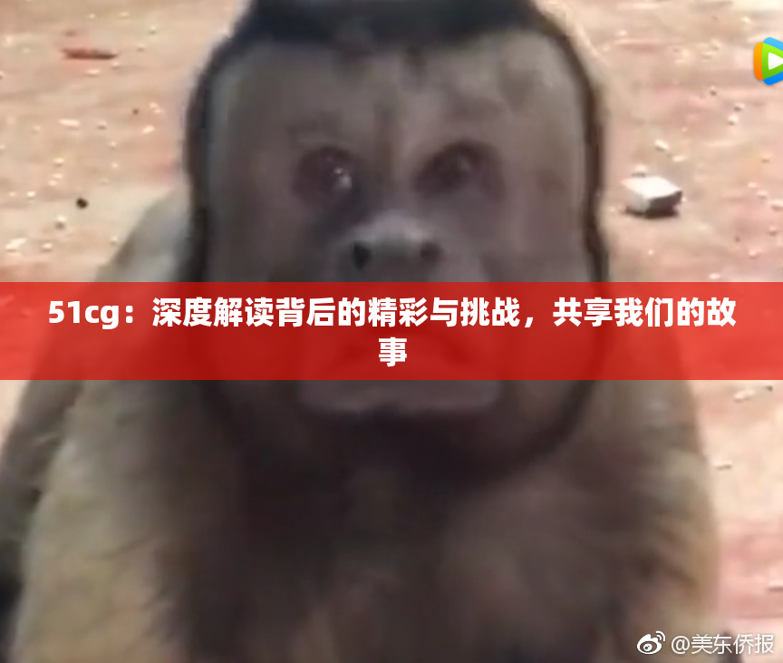 51cg：深度解读背后的精彩与挑战，共享我们的故事