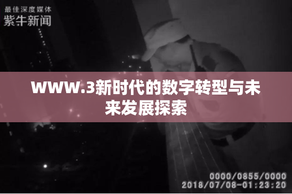 WWW.3新时代的数字转型与未来发展探索