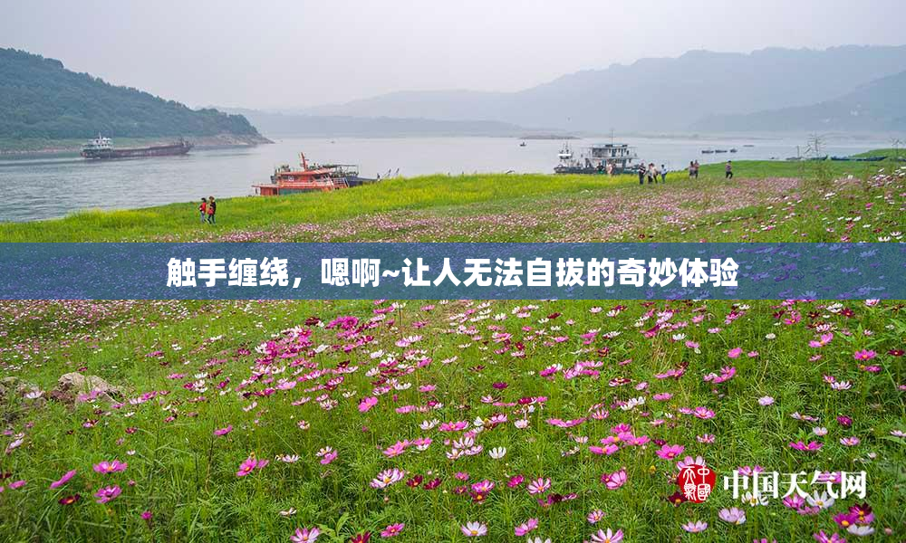 触手缠绕，嗯啊~让人无法自拔的奇妙体验