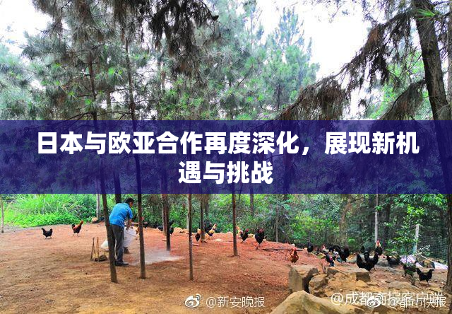 日本与欧亚合作再度深化，展现新机遇与挑战