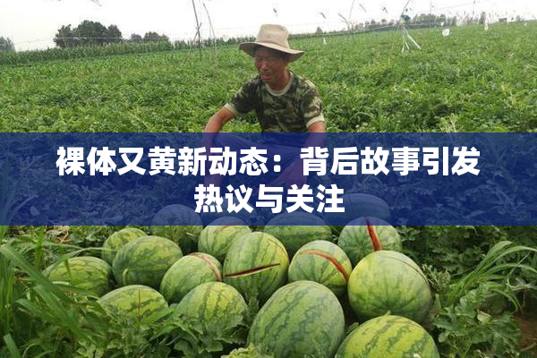 裸体又黄新动态：背后故事引发热议与关注