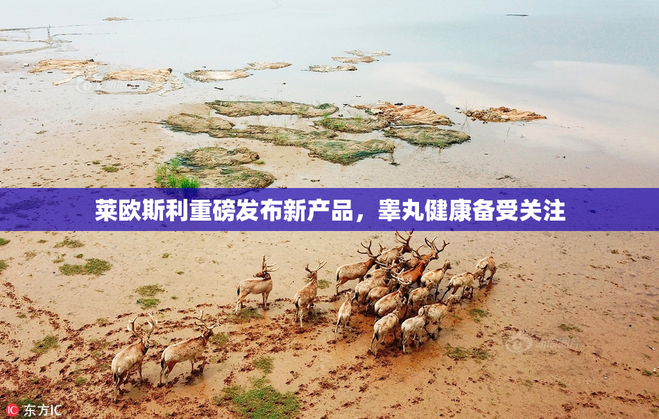 莱欧斯利重磅发布新产品，睾丸健康备受关注