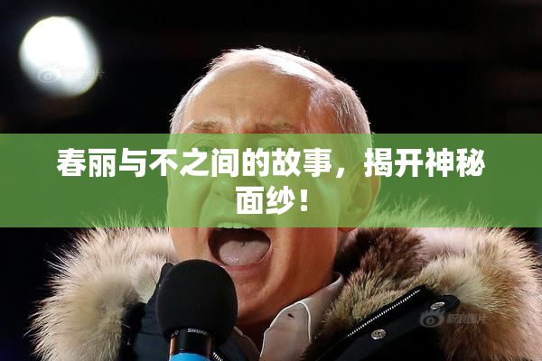 春丽与不之间的故事，揭开神秘面纱！