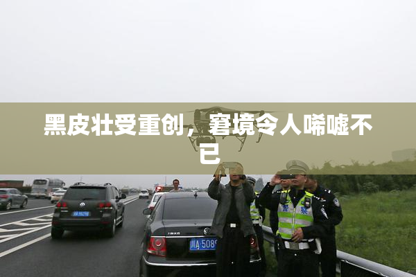 黑皮壮受重创，窘境令人唏嘘不已