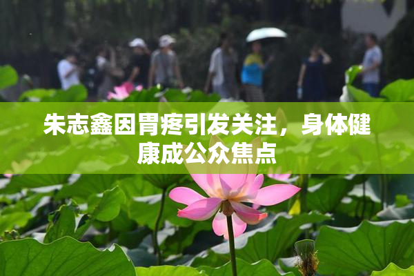 朱志鑫因胃疼引发关注，身体健康成公众焦点