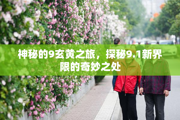 神秘的9玄黄之旅，探秘9.1新界限的奇妙之处