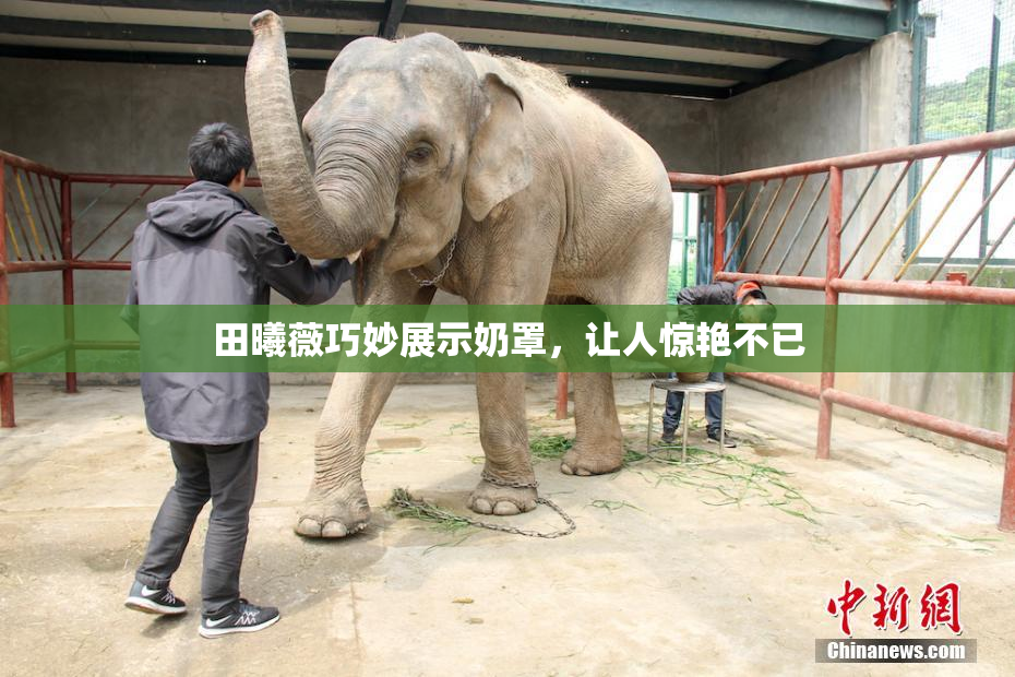 田曦薇巧妙展示奶罩，让人惊艳不已