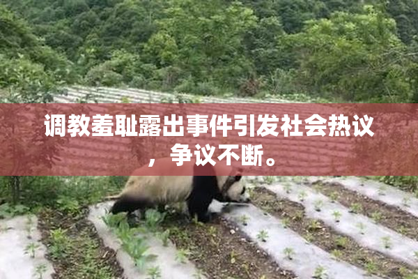 调教羞耻露出事件引发社会热议，争议不断。