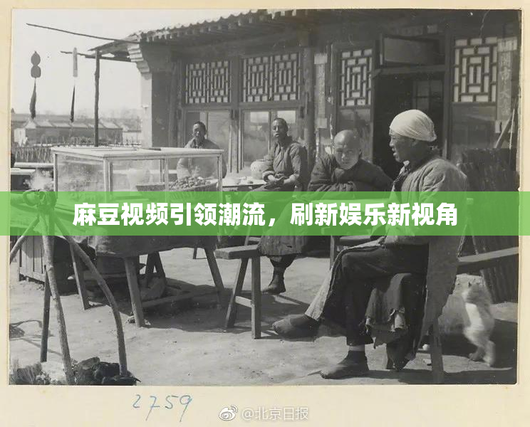 麻豆视频引领潮流，刷新娱乐新视角