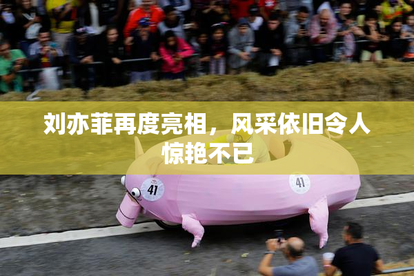 刘亦菲再度亮相，风采依旧令人惊艳不已