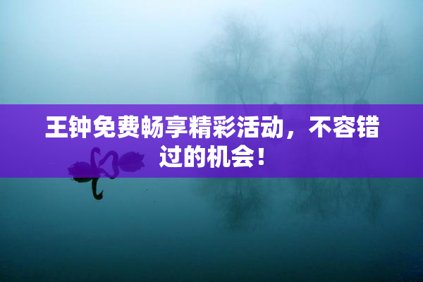王钟免费畅享精彩活动，不容错过的机会！