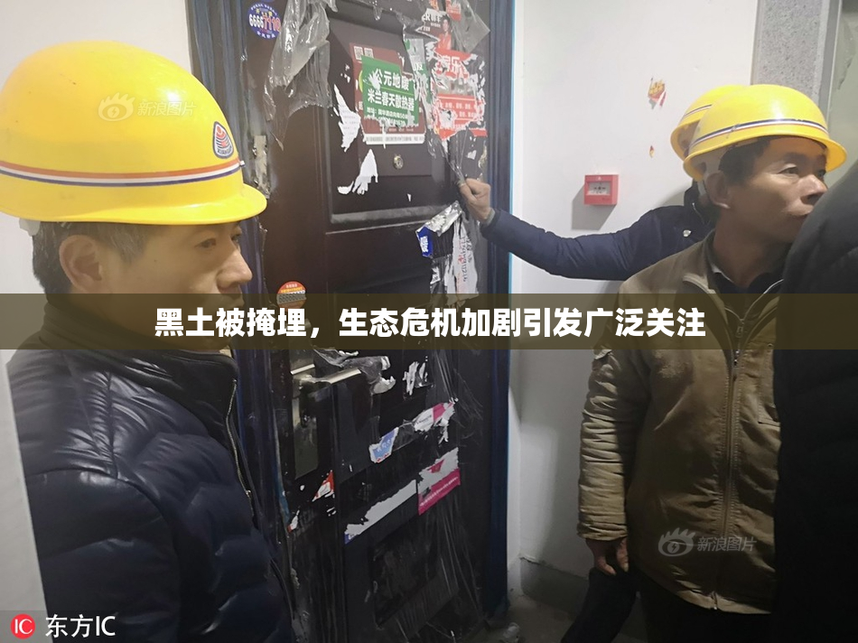 黑土被掩埋，生态危机加剧引发广泛关注