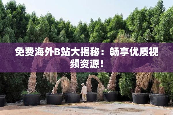 免费海外B站大揭秘：畅享优质视频资源！