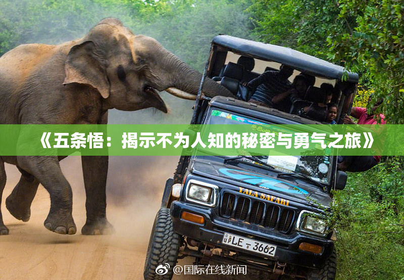 《五条悟：揭示不为人知的秘密与勇气之旅》