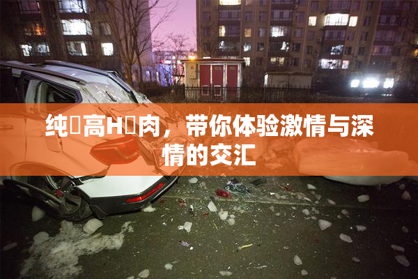 纯愛高H純肉，带你体验激情与深情的交汇