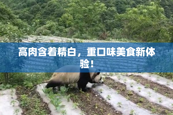 高肉含着精白，重口味美食新体验！