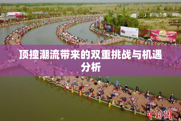 顶撞潮流带来的双重挑战与机遇分析