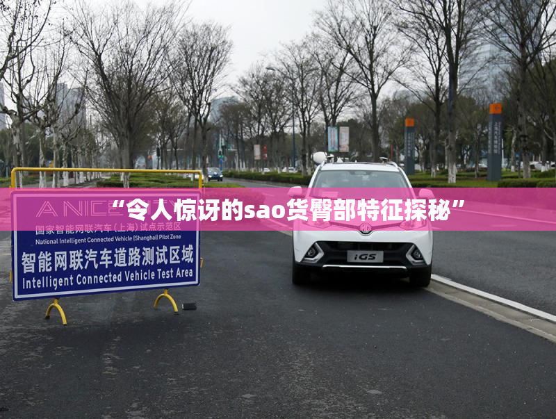 “令人惊讶的sao货臀部特征探秘”