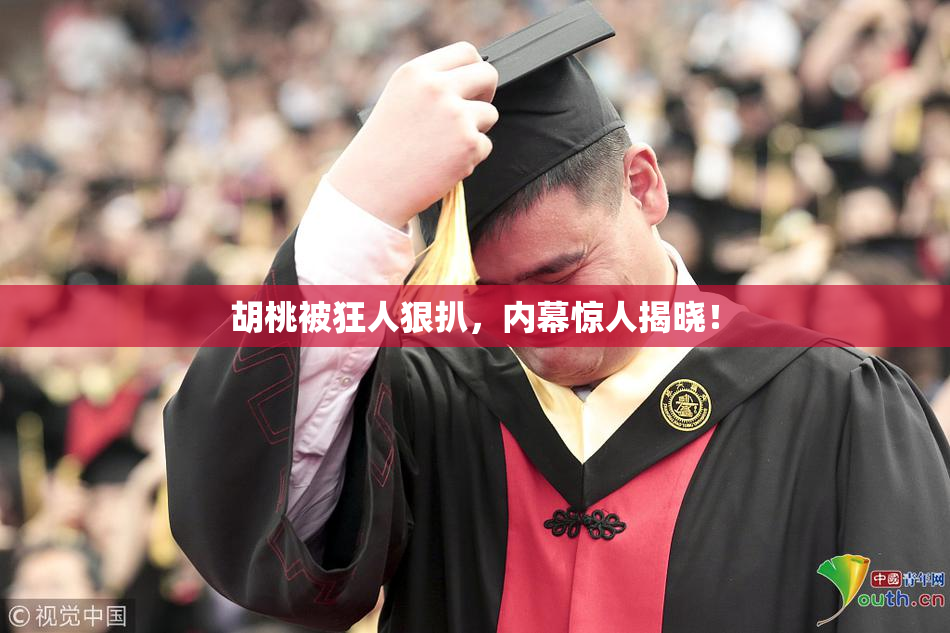 胡桃被狂人狠扒，内幕惊人揭晓！