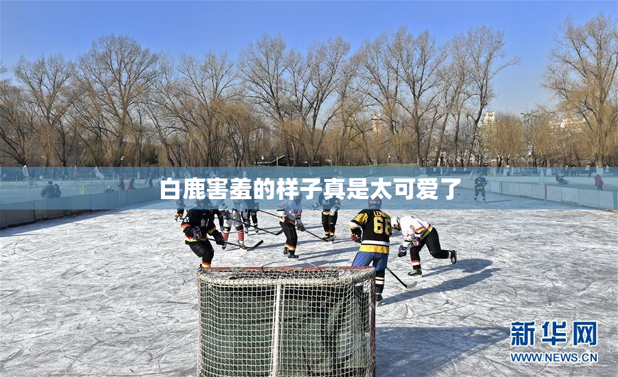 白鹿害羞的样子真是太可爱了