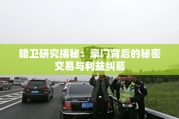 暗卫研究揭秘：豪门背后的秘密交易与利益纠葛
