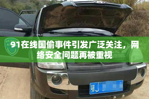 91在线国偷事件引发广泛关注，网络安全问题再被重视