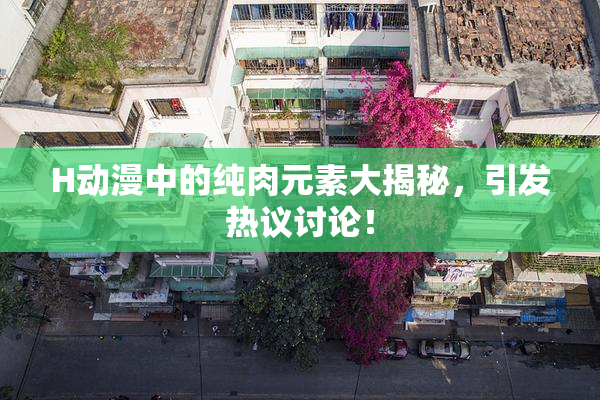 H动漫中的纯肉元素大揭秘，引发热议讨论！