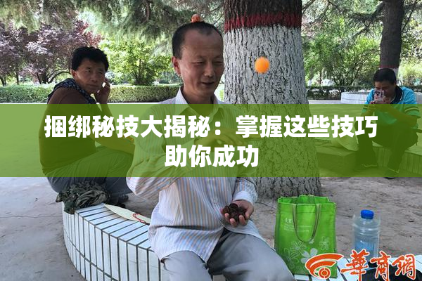 捆绑秘技大揭秘：掌握这些技巧助你成功