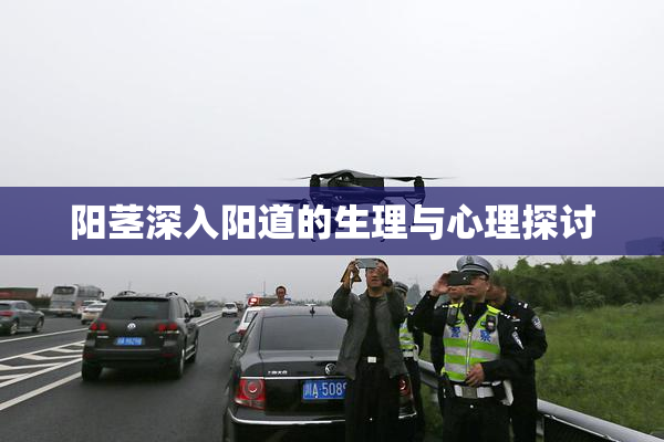 阳茎深入阳道的生理与心理探讨
