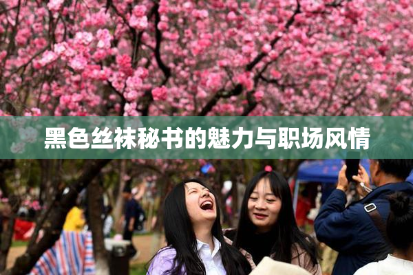 黑色丝袜秘书的魅力与职场风情