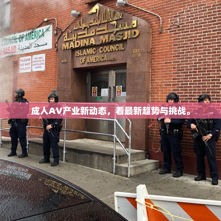 成人AV产业新动态，看最新趋势与挑战。