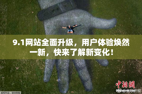 9.1网站全面升级，用户体验焕然一新，快来了解新变化！