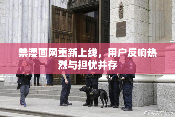 禁漫画网重新上线，用户反响热烈与担忧并存