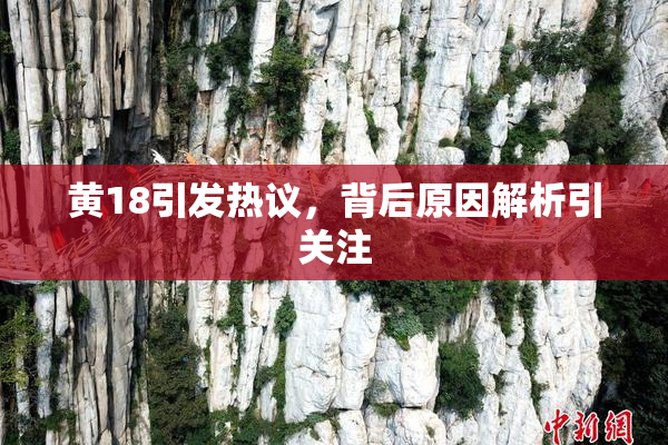 黄18引发热议，背后原因解析引关注