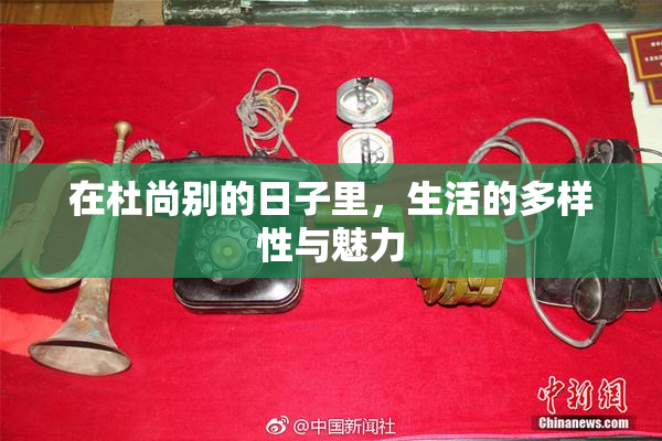 在杜尚别的日子里，生活的多样性与魅力