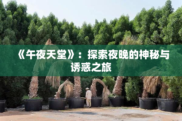 《午夜天堂》：探索夜晚的神秘与诱惑之旅