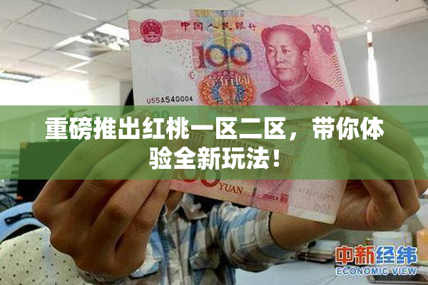 重磅推出红桃一区二区，带你体验全新玩法！