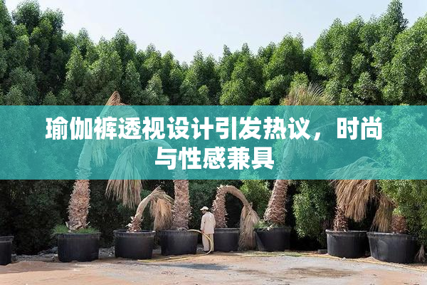 瑜伽裤透视设计引发热议，时尚与性感兼具