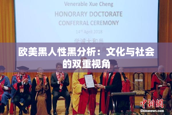 欧美黑人性黑分析：文化与社会的双重视角
