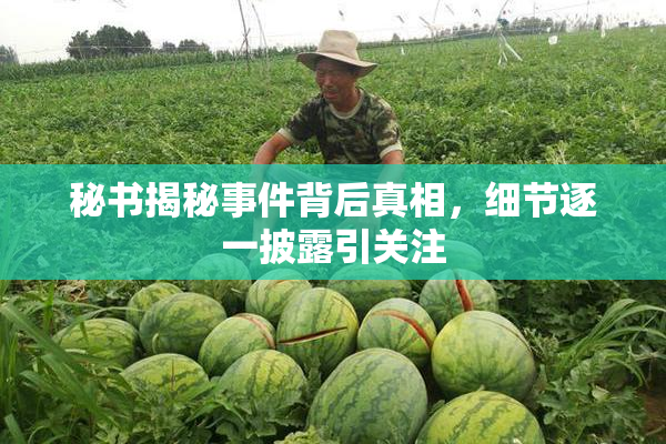 秘书揭秘事件背后真相，细节逐一披露引关注