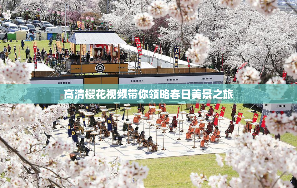 高清樱花视频带你领略春日美景之旅